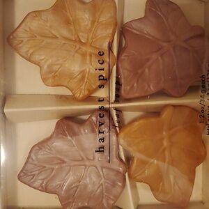 Pier 1 Vintage 🍁 Fall Leaf Mini Soaps